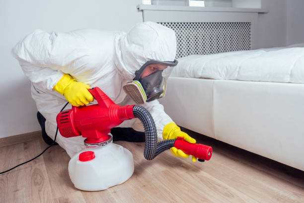 Professional Pest Control in Embreeville, TN