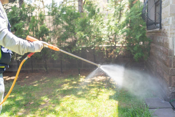 Best Exterminator Services  in Embreeville, TN