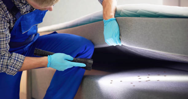 Best Affordable Pest Control Services  in Embreeville, TN