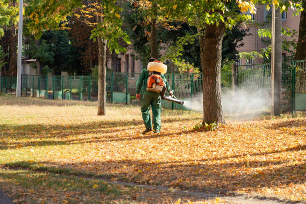 Best Residential Pest Control  in Embreeville, TN